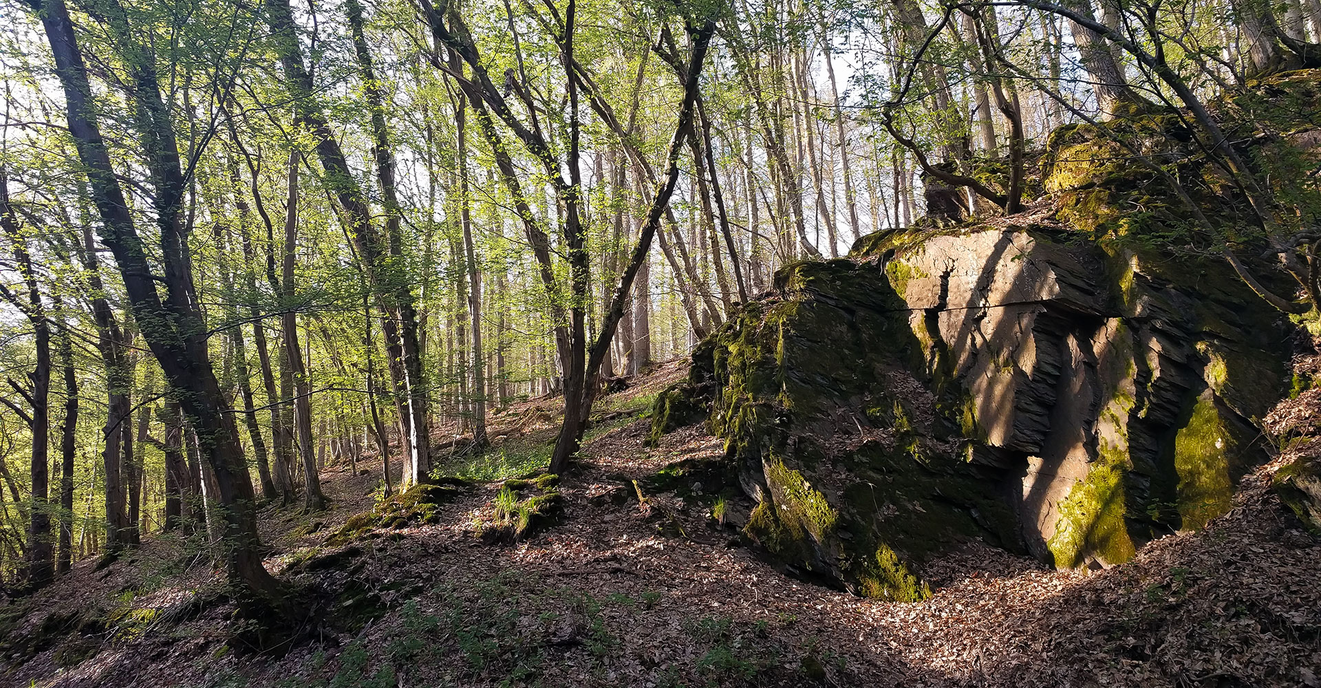 Unser Dorf hat Zukunft Niedererbach 2006 e.V.