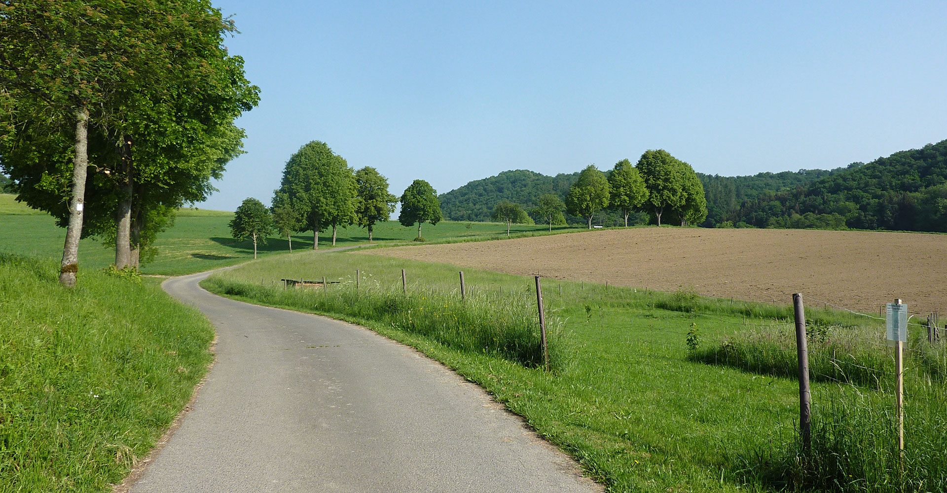 Unser Dorf hat Zukunft Niedererbach 2006 e.V.